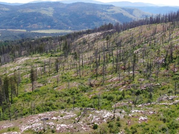Xx Matsen Creek Rd, Kettle Falls, WA 99141