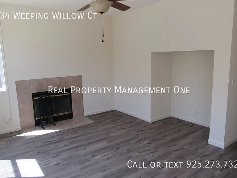 234 Weeping Willow Ct — Photo 8