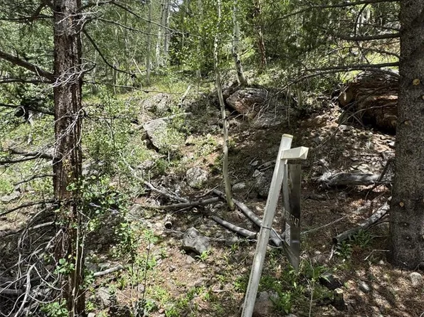 0 Loch Lomond Road LOT 6, Idaho Springs, CO 80452