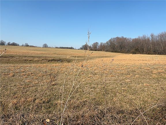 2nd image of Curtis Rd