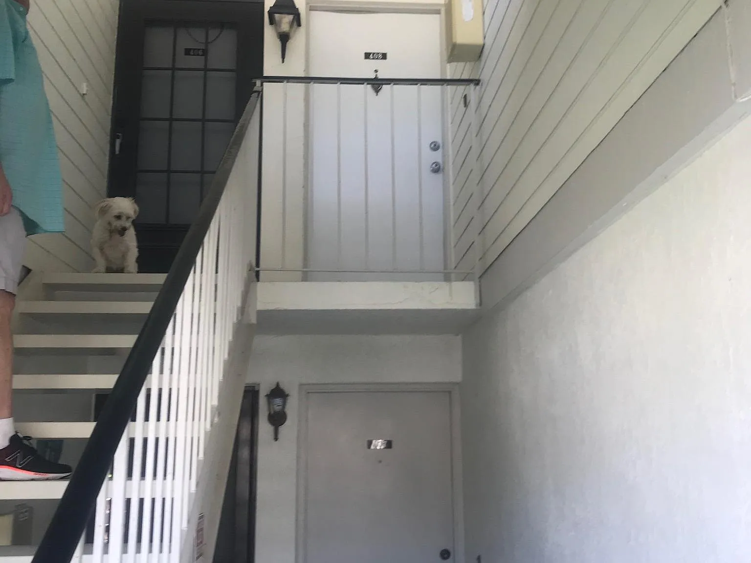 2 bed, 980 sqft, $1,800 — Photo 2