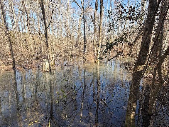 5th image of 0 State Highway 19 S