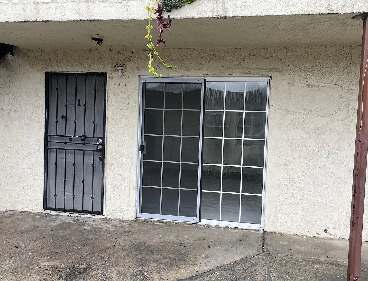 2 bed, 800 sqft, $1,900 — Photo 2