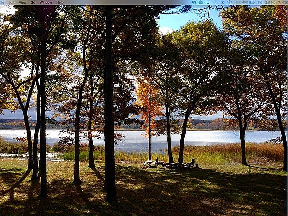 View from back deck