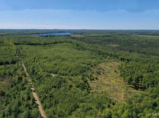 Tbd1 Morrison Creek Rd, Iron River, MI 49935