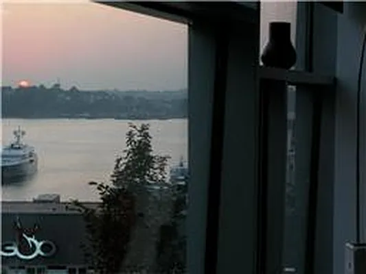 Rented by Douglas Elliman | media 38