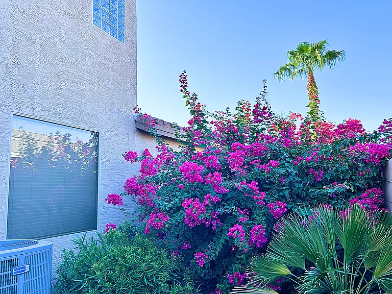 43323 W Venture Rd — Photo 13