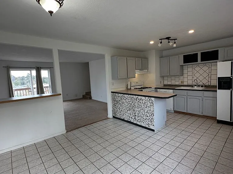 1223 Larch St — Photo 5