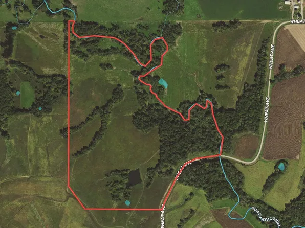 Wheat Ave, Pulaski, IA 52584