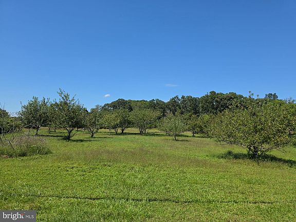 5th image of 254 Fairton Gouldtown Rd