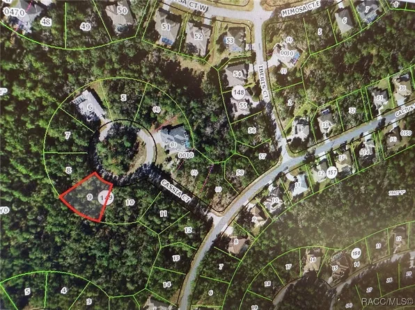 7 Cassia Ct, Homosassa, FL 34446