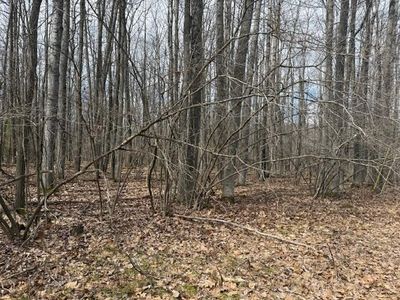 16-20 Garfield Blvd, Roscommon, MI, 48653