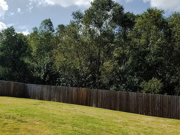 Back yard view of woods