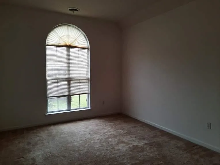 4456 Alixs Dr — Photo 9