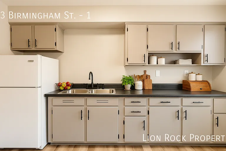 313 Birmingham St #1 — Photo 4