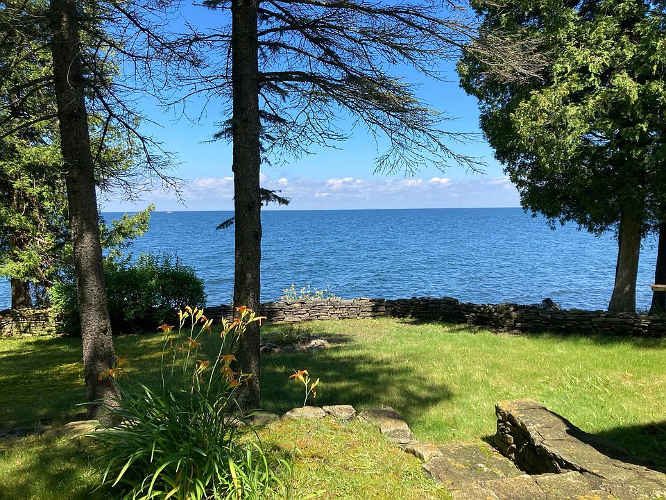 Your Back Yard