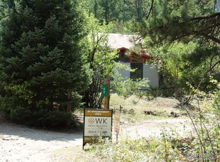 22 Switzerland Trl, Nederland, CO 80466