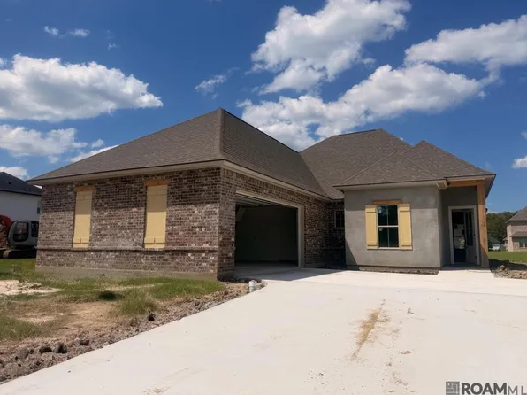21425 Blue Fin Dr, Springfield, LA 70462
