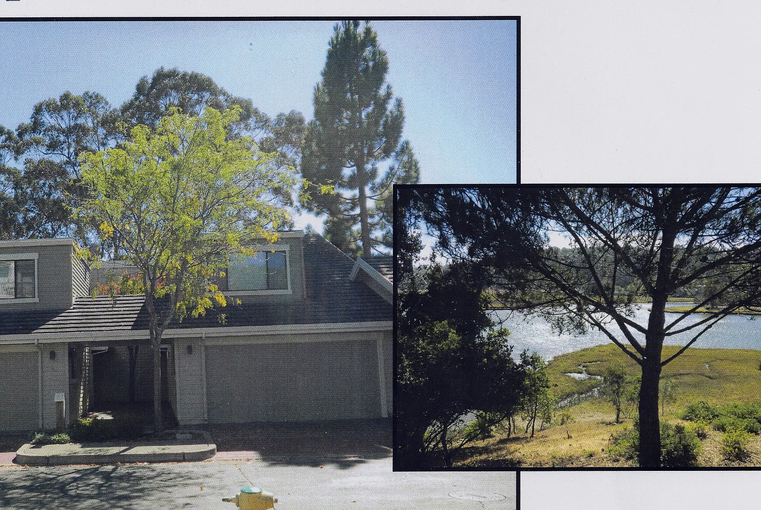 71 Eucalyptus Knoll St photo 1