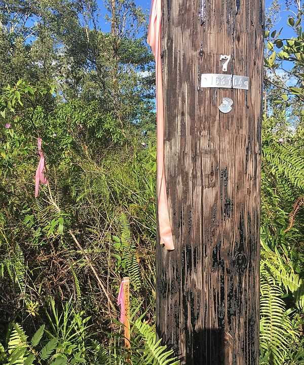 1st image of Ohia Dr Lot 35