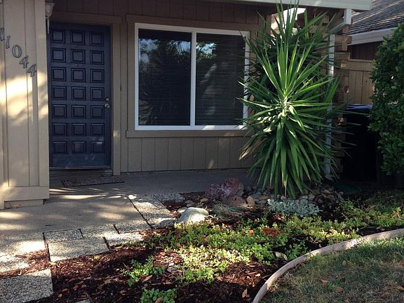 Low maintenance landscape