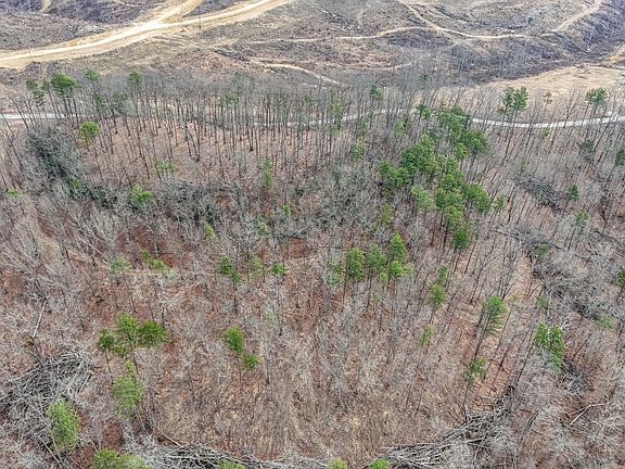 5th image of 3967 Hazel Patch Rd