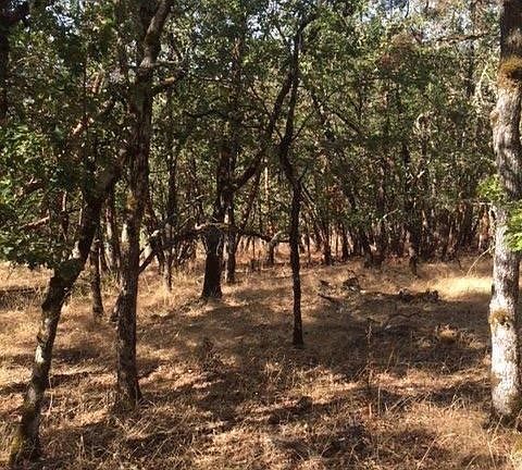 4th image of 0 NE Oak Dale Dr