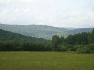 Bert Medlar Rd, Long Eddy, NY 12760