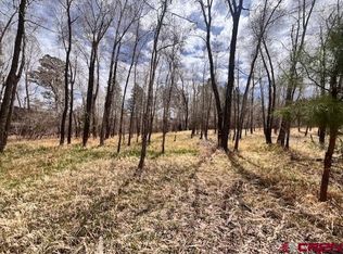 95 Pinestone Dr, Bayfield, CO 81122