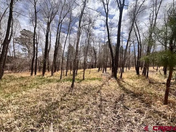 95 Pinestone Drive, Bayfield, CO 81122