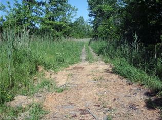 Vl Black Sea Rd, Jefferson, OH 44047