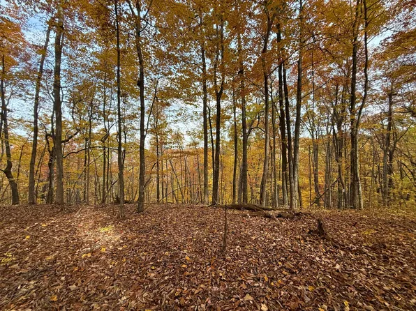 540 Cumberland Cove Rd, Monterey, TN 38574