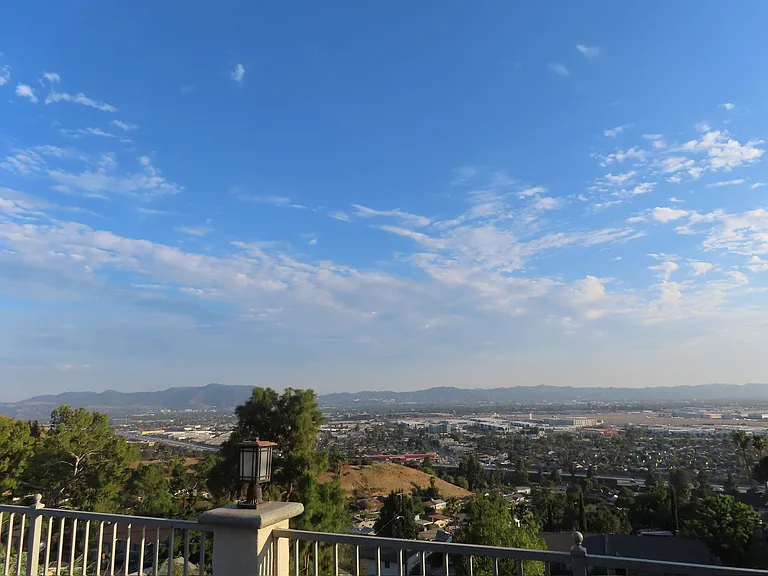 Backyard View