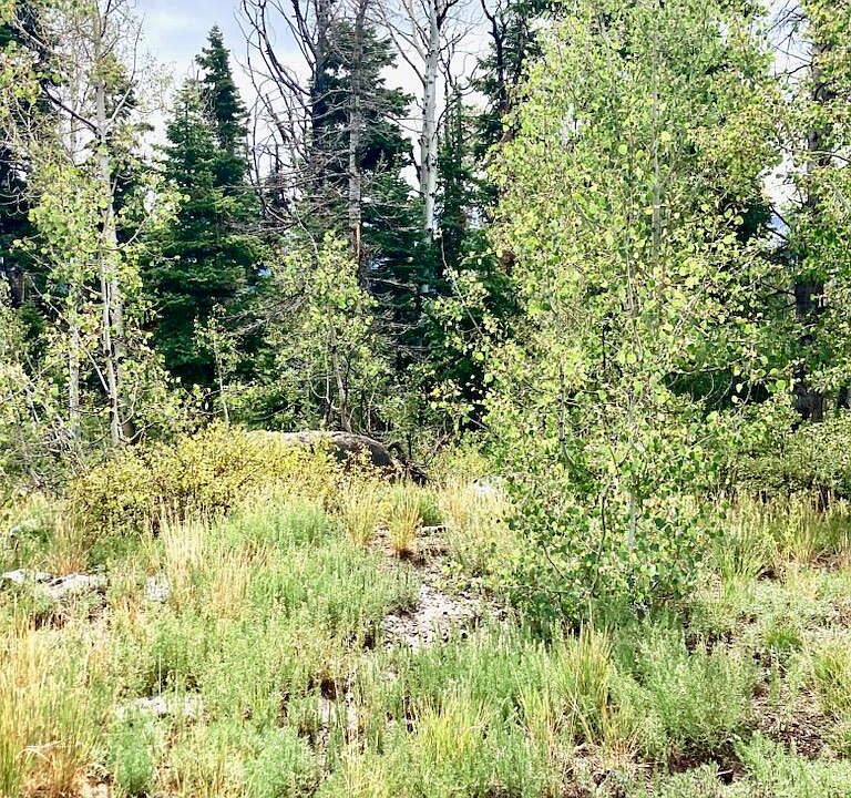 2nd image of 1049 N Kolob Terrace Rd #K