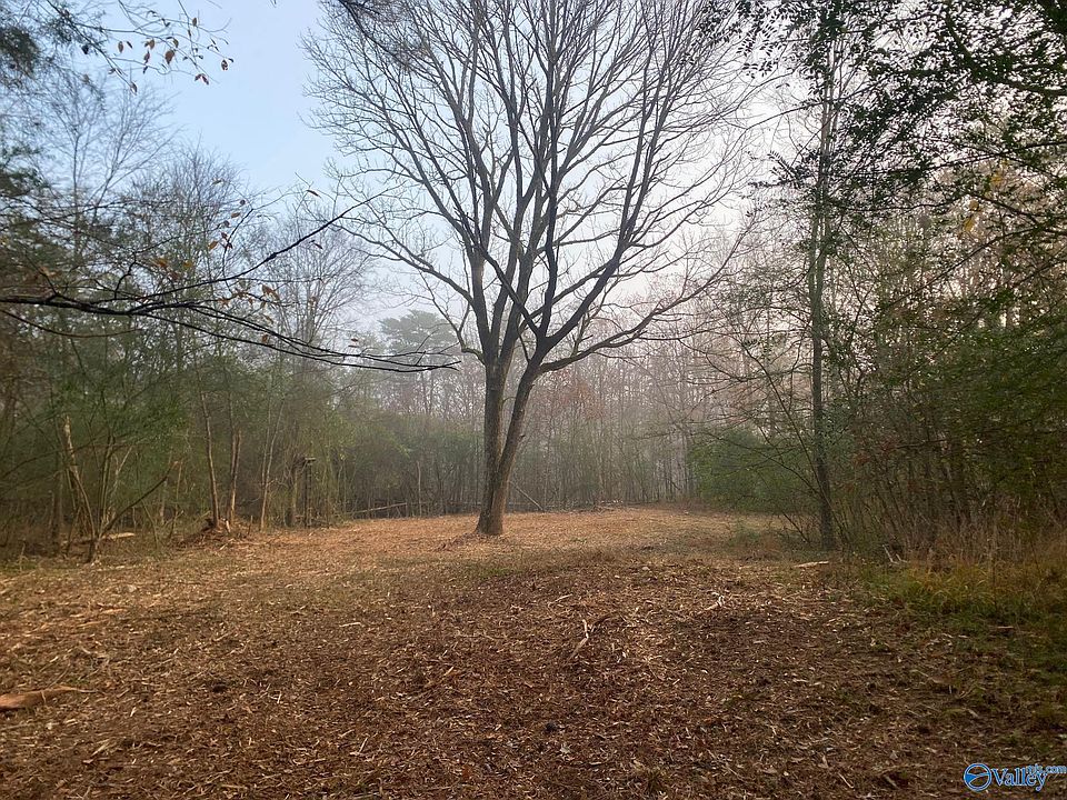 1st image of 4/ACRE S Mount Carmel Dr
