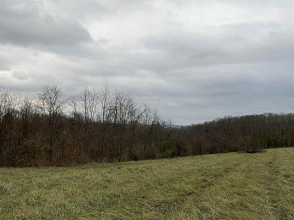 3rd image of 724 Forest Hills Dr