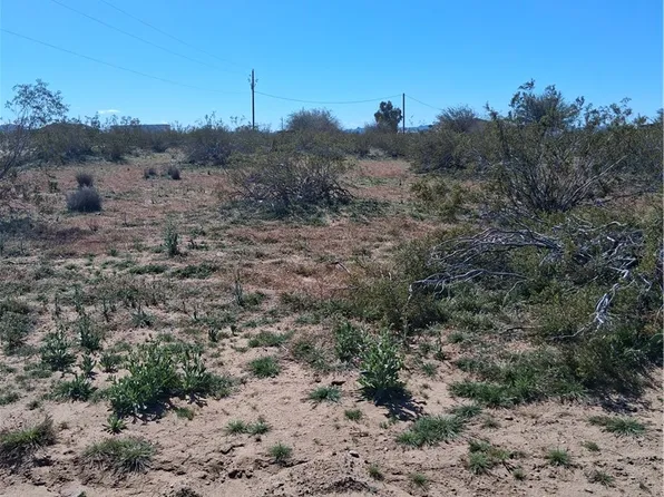 8872 W 6th St, Dolan Springs, AZ 86441