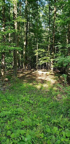 2nd image of 00 SLY POND Road