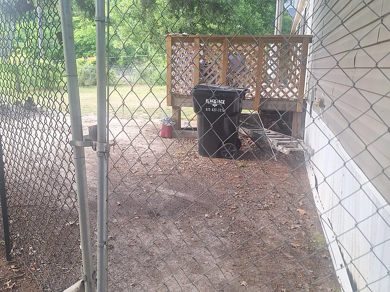 Back yard