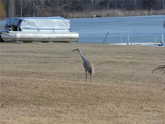 4th image of 11188 Fairlane Dr
