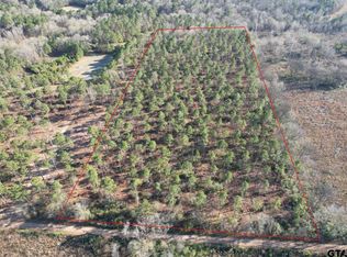 A County Rd #216, Beckville, TX 75631