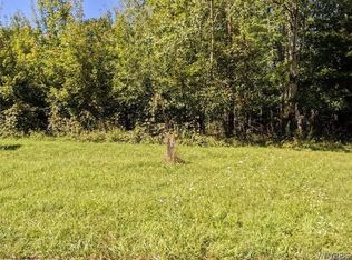 10602 Valone Ave, North collins, NY 14111