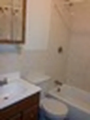 Rented by Link NY Realty | media 8