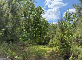 14 George Milling Rd, Cuthbert, GA 39840