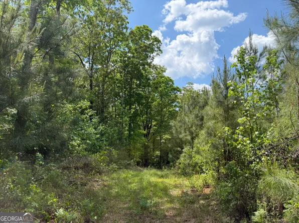 14 George Milling Rd, Cuthbert, GA 39840