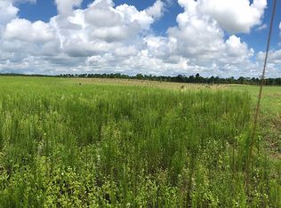 Mount Calvary Rd, Trenton, SC 29847