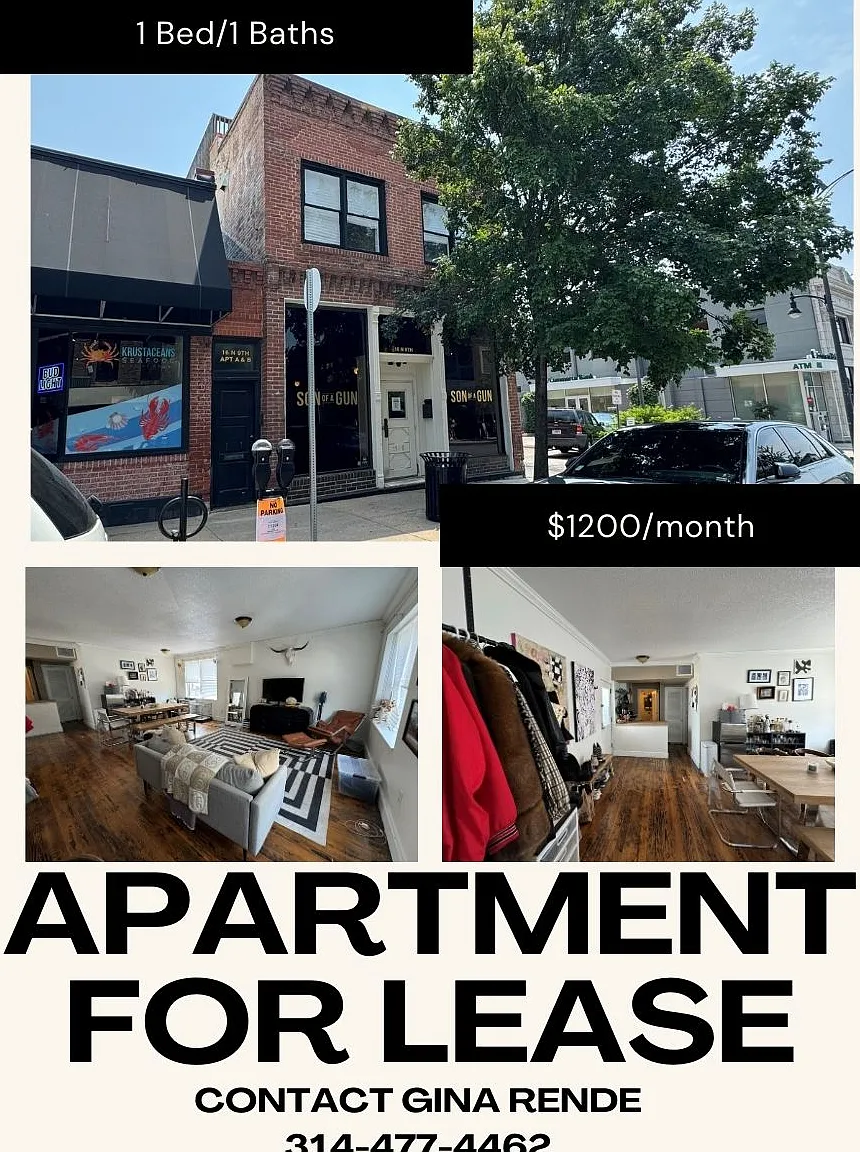 1 bed, $1,200 — Photo 2
