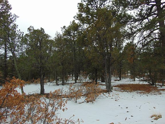 5th image of 7662 Pass Creek Ct