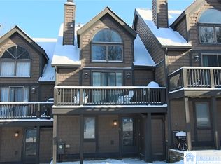 16 Slopeside Rd, Ellicottville, NY 14731