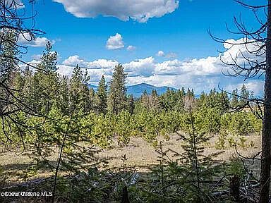 2nd image of 0 W Rambling Rose Rd